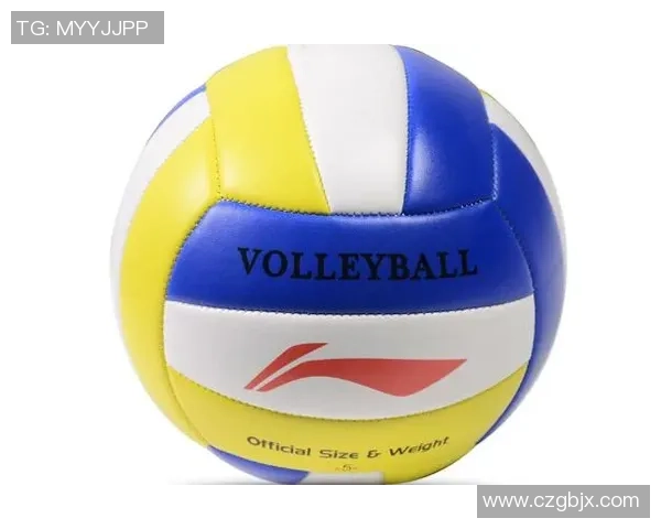 排球新手必看：全面技术入门与实战技巧提升指南